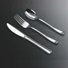 Home Kitchen Appliance Injection Flatware Plastic Silver Ware of Knief/Spoon/Fork