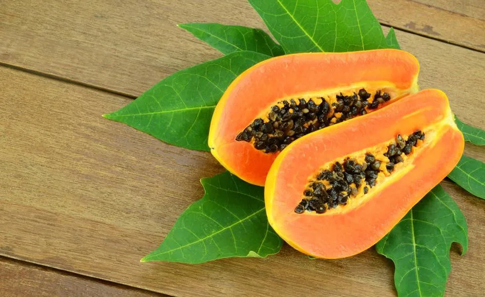top grade hot sale papaya price freeze dried papaya powder