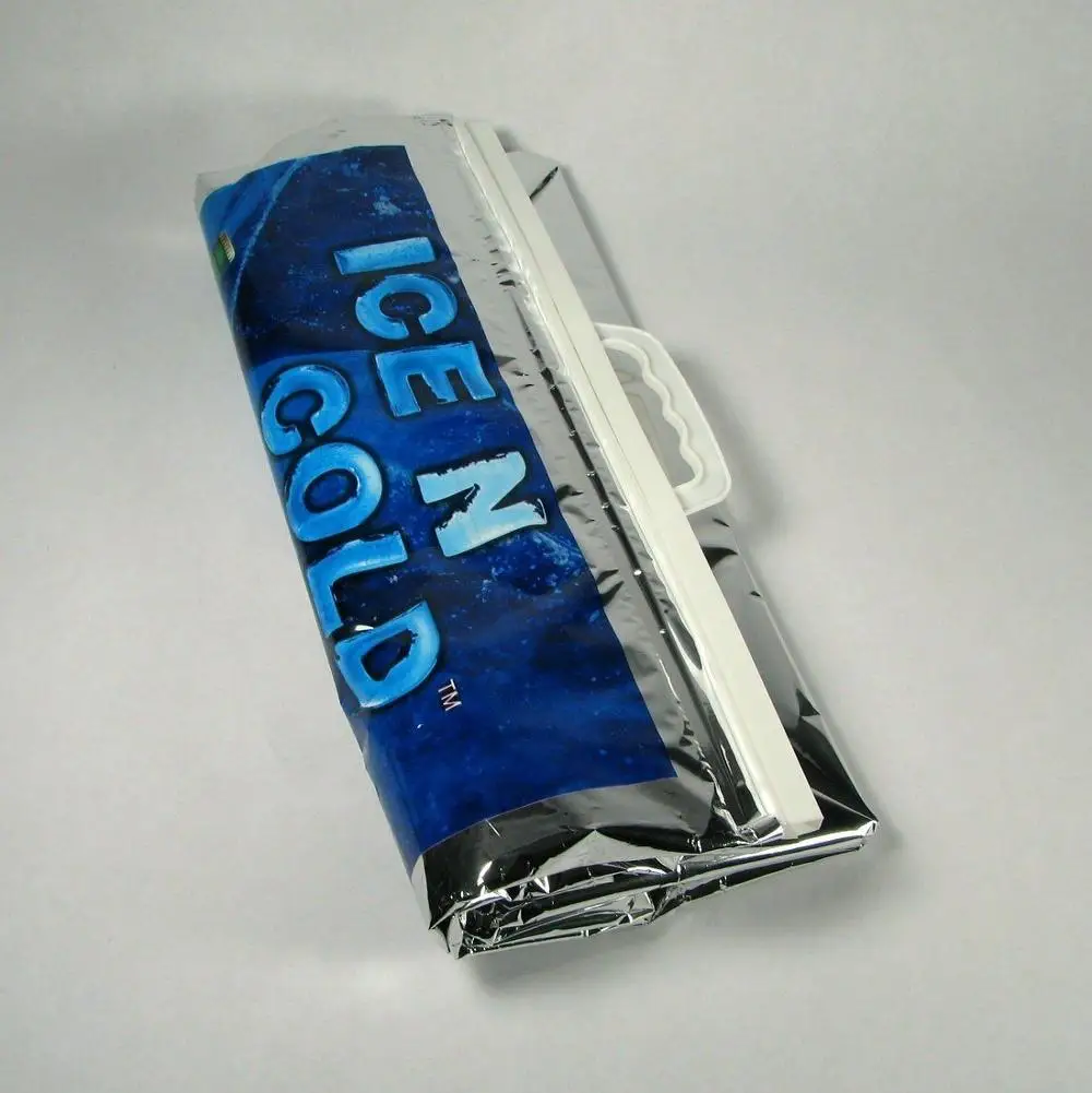  insulated cooler bag