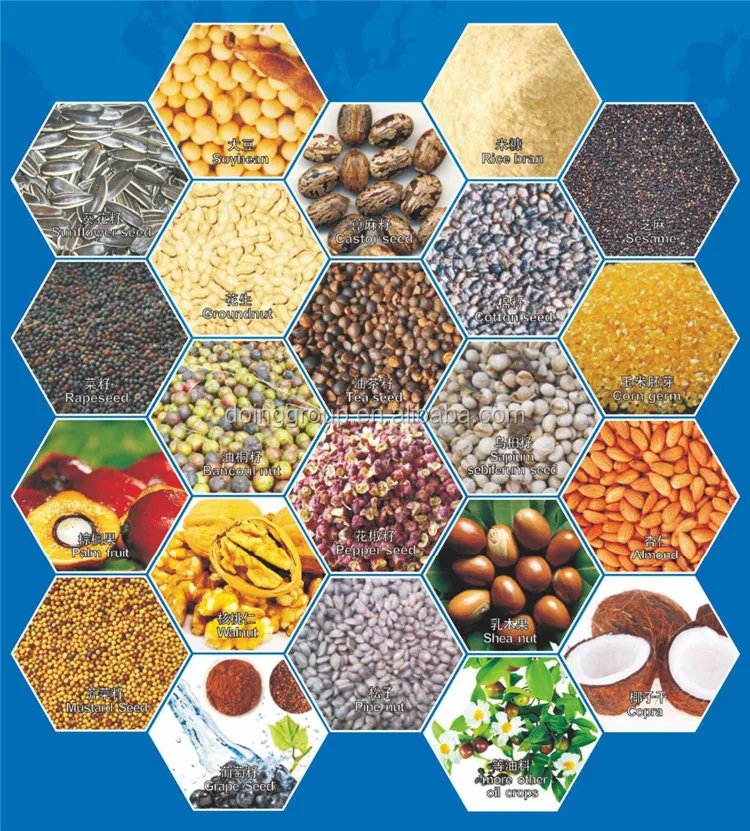 Good sale soybean oil press machine peanut oil extraction machine