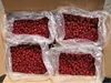 2015 dried cherry/preserved cherry low price good quality