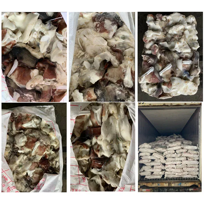 700x7.jpg