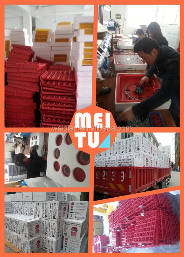 Intelligent small incubator egg hatching machine/eggs mini incubator, View egg hatching machine ...