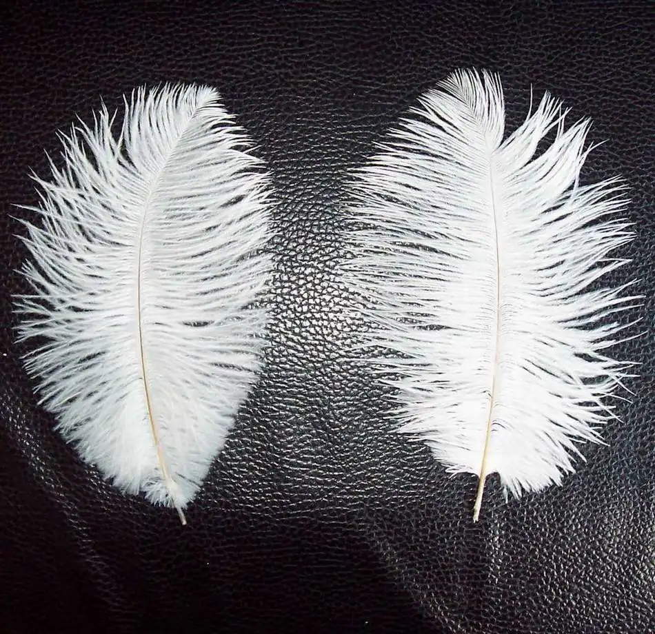 ostrich plume feathers wholesale