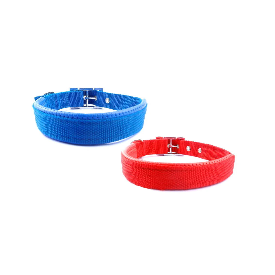 nylon dog collar