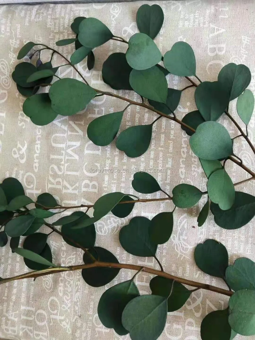 natural preserved green eucalyptus leaves for wedding floral