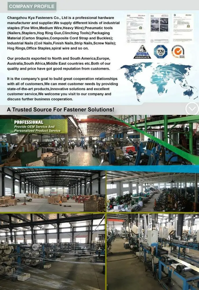 Company Profile