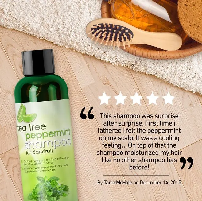 hot sell tea tree oil anti dandruff sulfate free shampoo and