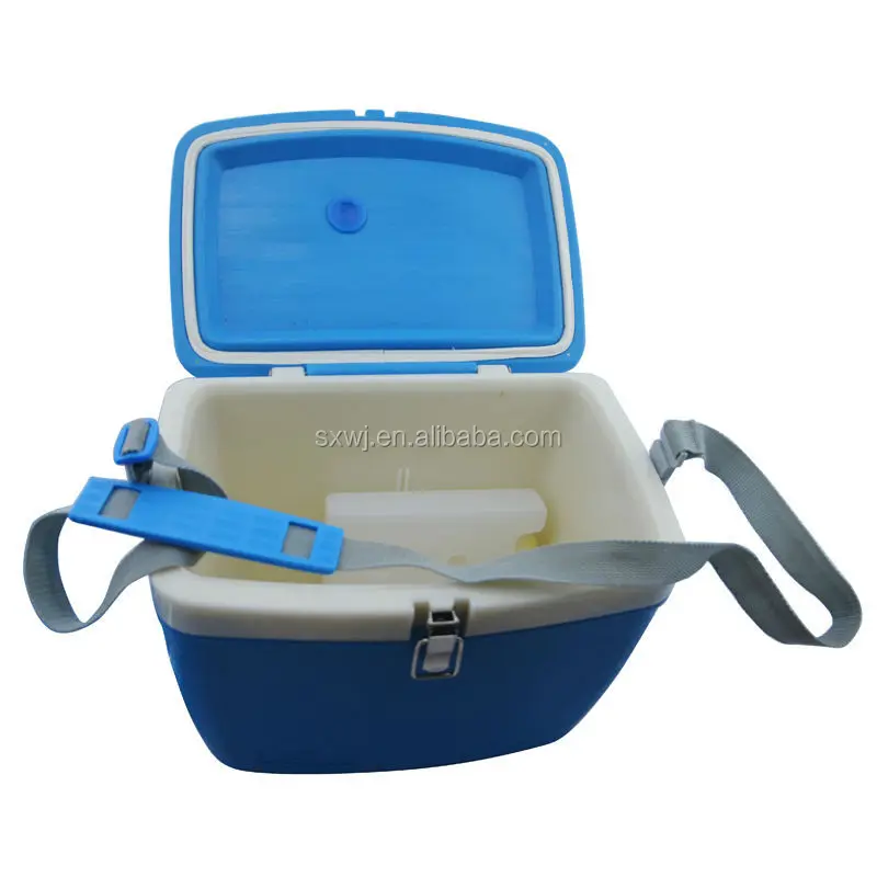 small ice box for medicine