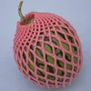 EPE fruit Foam Sleeve for Pears , foam roller sleeve , bottle foam sleeve net
