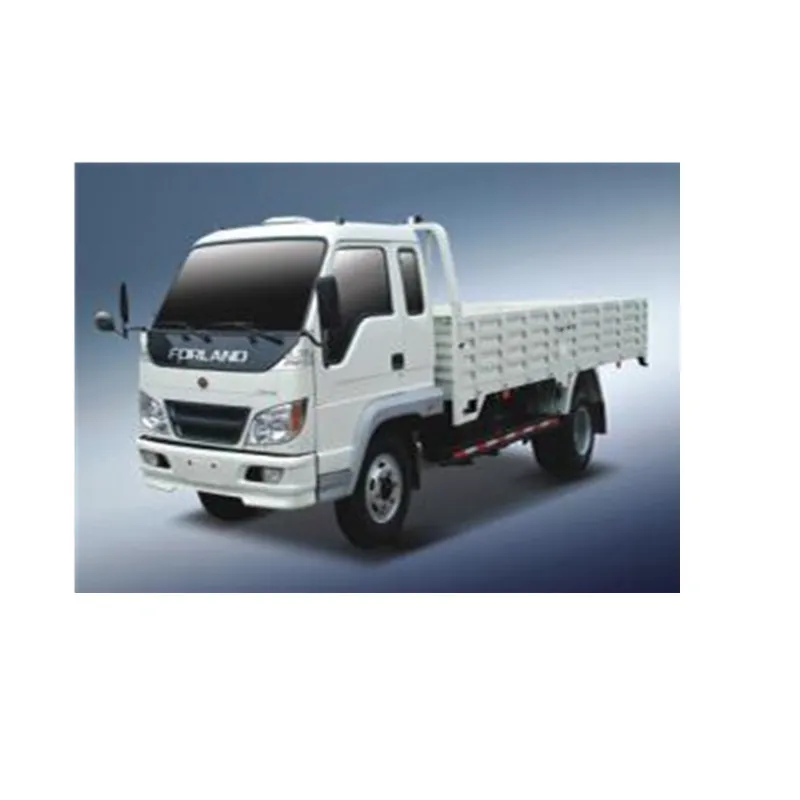 foton cargo 1.jpg