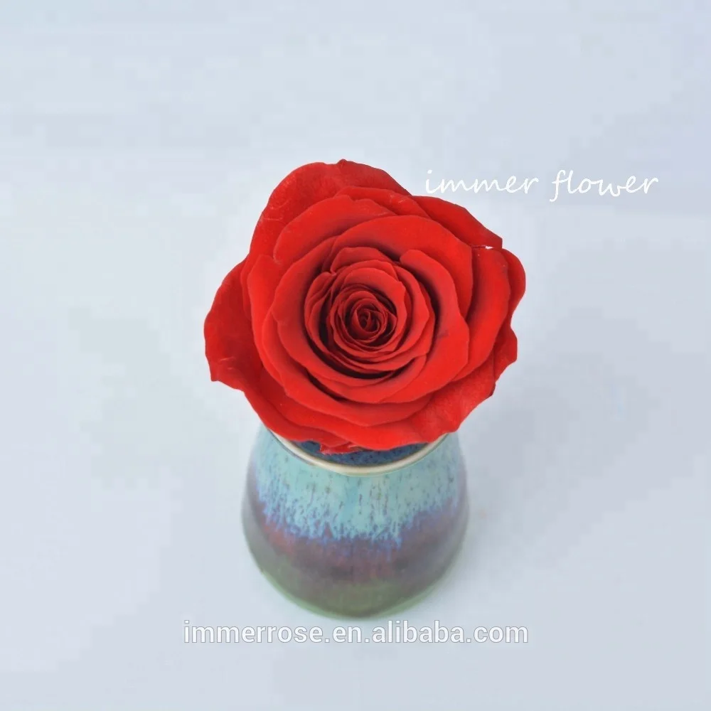 4-5cm eternal rose (55)