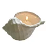 Hot-selling fashion exclusive ceramic large conch shells