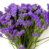 Wu Wang Wo Dried Myosotis Sylvatica Flower Improve Female Physiology Problem