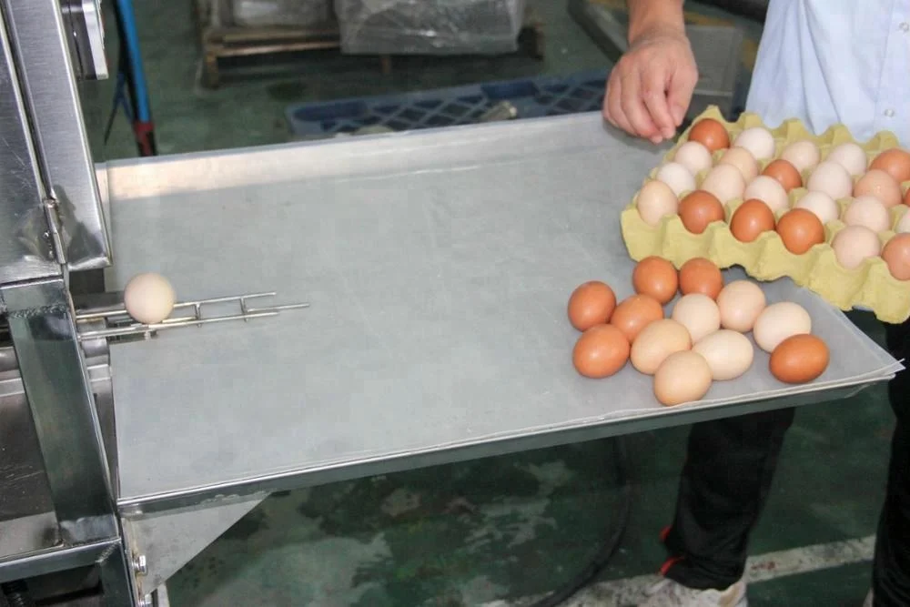 2018 Automatic Egg Processing Equipment/egg Washing Machine/egg Washer For Sale Buy High