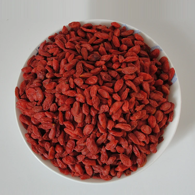Organic Red Fresh Frozen Goji Berries Wolfberry For Sale