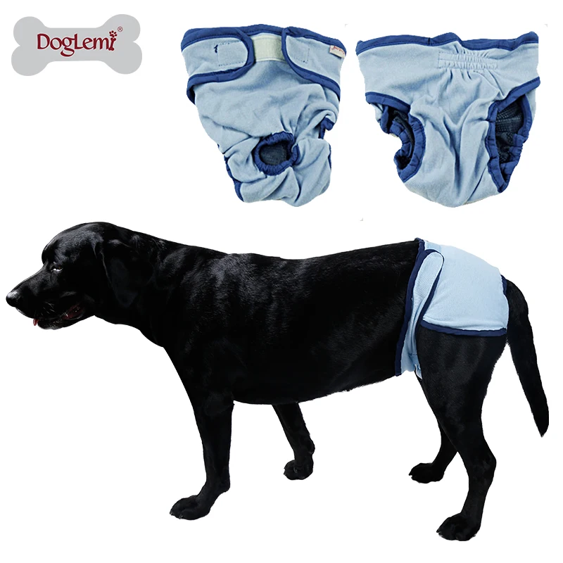 Washable Reusable Pet Pants Female Dog Training Pants Buy Dog Training Pants,Dog Pants,Pet