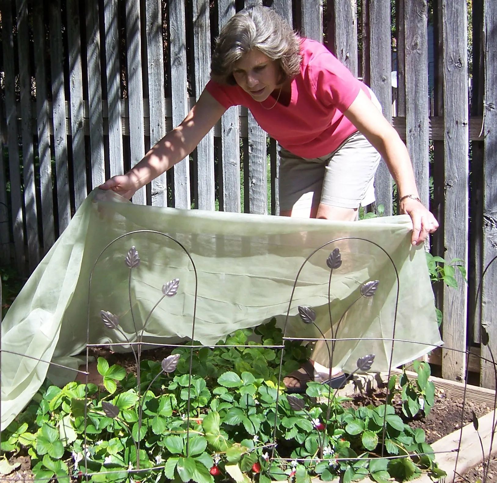 Cheap Garden Row Cover Fabric, find Garden Row Cover Fabric deals on