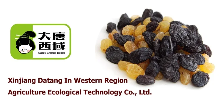 Low price wholesale sultana golden raisins dried jumbo raisin