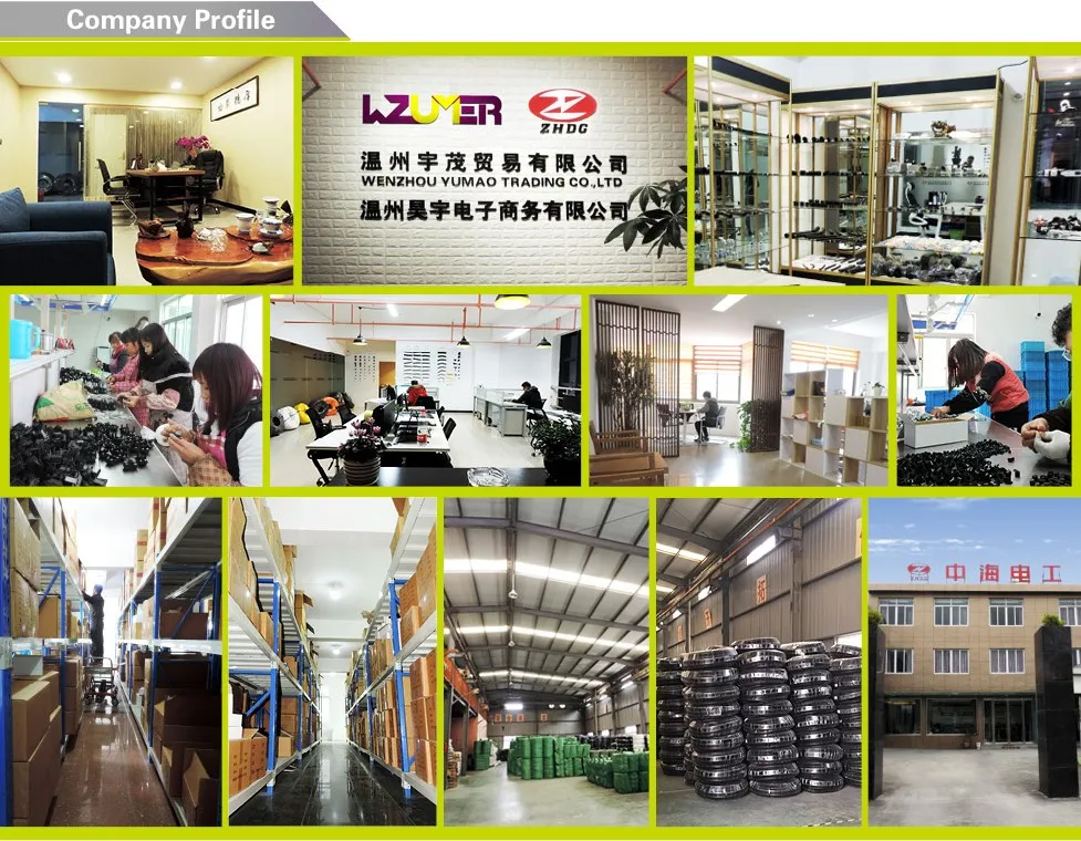 company profile