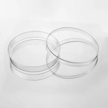 10 Sets100mm Chaotai Petri Dishes Affordable 10pcs Fragile Sterile for Cell Polystyrene for Lab Plate Yeast Lab Supply gh Quality Crisp mical Instrument Clear