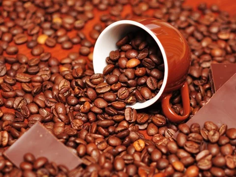 cocoa beans/natural/alkalize cocoa powder