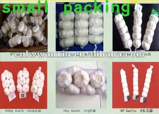 SMALL PACKING GARLIC_