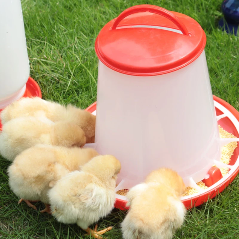 Plastic Bird Drinkers Chicken Feeders And Drinkers For Chicken House 