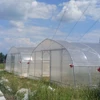 150/200micron PE Film Cover Low Cost Single Greenhouse
