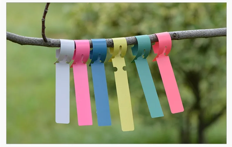Taizhou Manufacture Hoop Plastic Plant Labels Wholesale Buy Plant Labels,Plastic Plant Labels