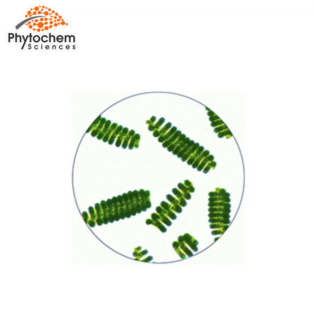 Usp 100 Pure Healthy Spirulina Powder Spirulina Platensis With 65