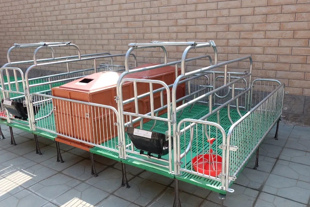 Pig Farming Equipment With Farrowing Crates For Sale Buy Pig Farming