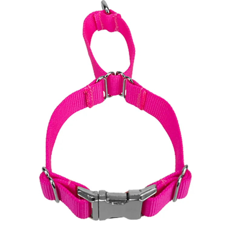 reflective dog collar