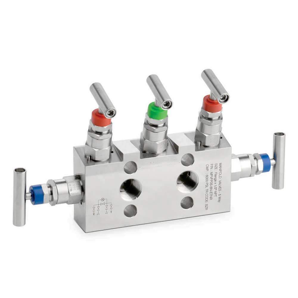 5 way manifold valve