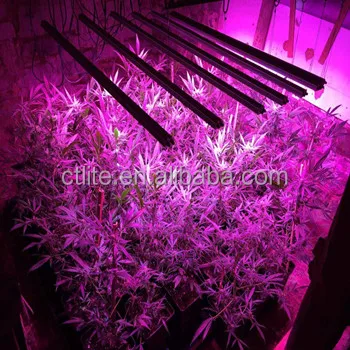 Ctlite Waterproof 60w 480w Led Grow Light Bar With Red Blue Spectrum Ctlite Waterproof 60w 480w Led Grow Light Bar With Red Blue Spectrum For Hydroponic Indoor