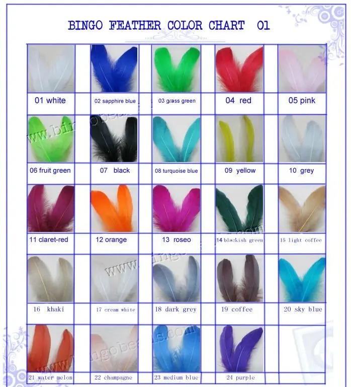 feather01