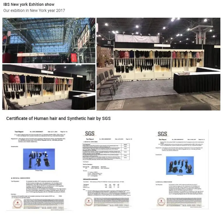 exhibition certificate