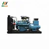 Spanish Groupes Electrogenes ISO CE High Quality Diesel Genset for Electricity Power Supply