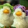 Sisal Easter chicken hatched easter decorations
