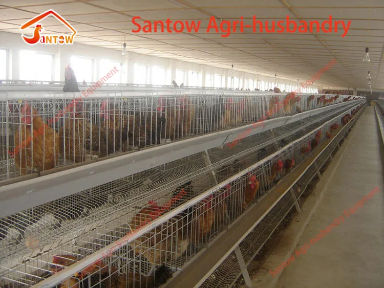 Poultry design layer chicken cages 128 layers per set