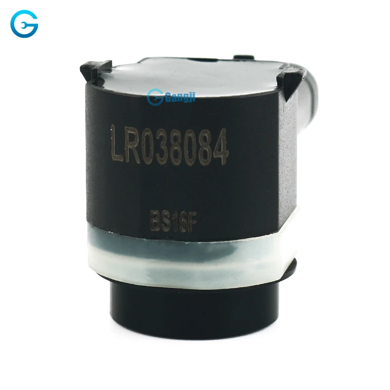 LR038084--1.jpg