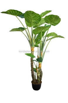 Atacado Artificial Toque Natural Taro Evergreen Plantas Com Folhas Grandes Buy Taro Artificial Artificial Plantas Com Folhas Grandes Artificial Plantas Verdes Manufatory Product On Alibaba Com