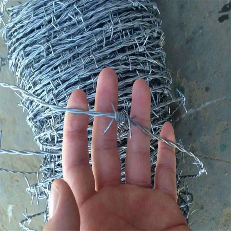 14 gauge hot dipped galvanized barbed wire