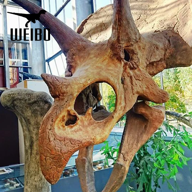 buy dinosaur skull