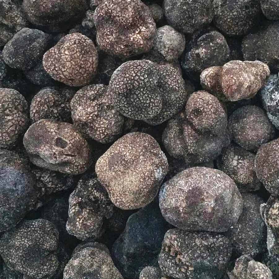 Detan Sell China Frozen Black Truffle Mushroom Fu…