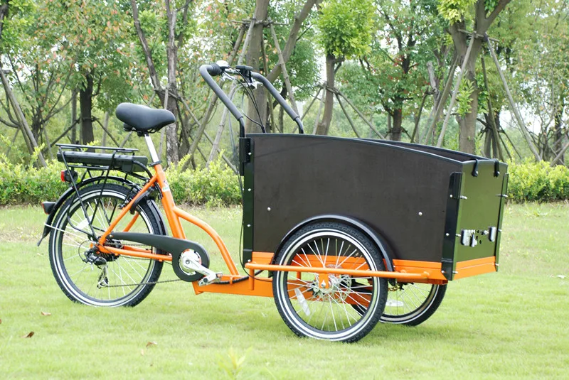 Bicicleta elétrica de carga Clearance