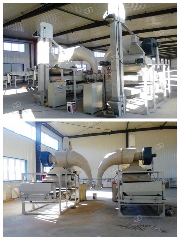 Professional Manufactory Melon Seed Hulling Shelled Pumpkin Seed