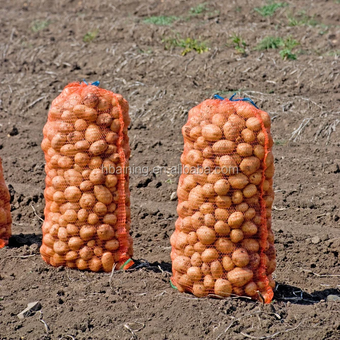 mesh sweet corn bags