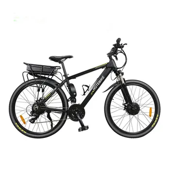 dual motor electric bike