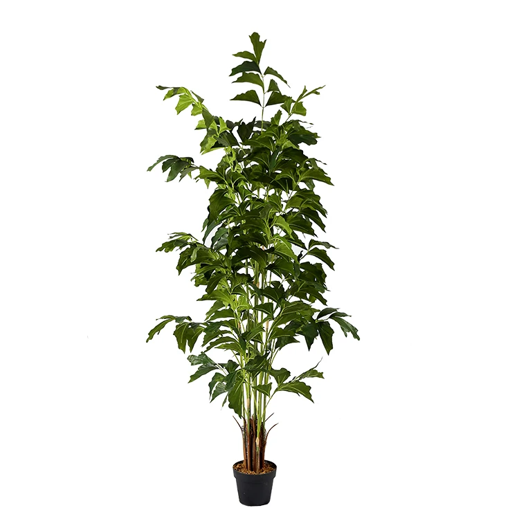 1.8m Fishtail Palm Modern Indoor Trees Cheap Artificial Greenery Buy Modern Indoor Trees,Cheap